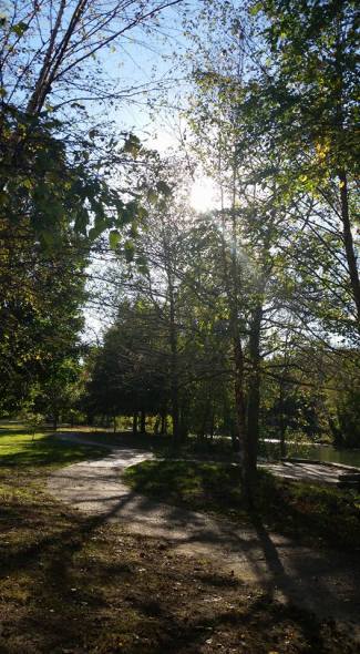 14639847_181386232315476_5366285076460421272_n